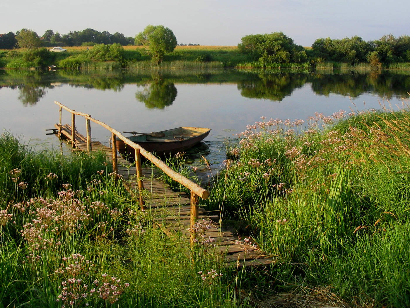 Утренняя свежесть