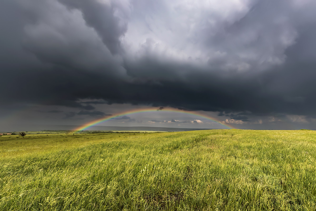 Под крышей дома моего