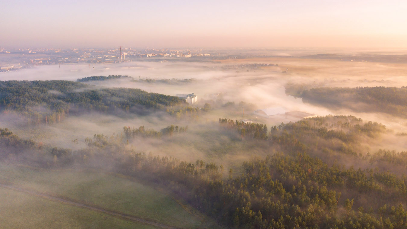 Утро в Стайках