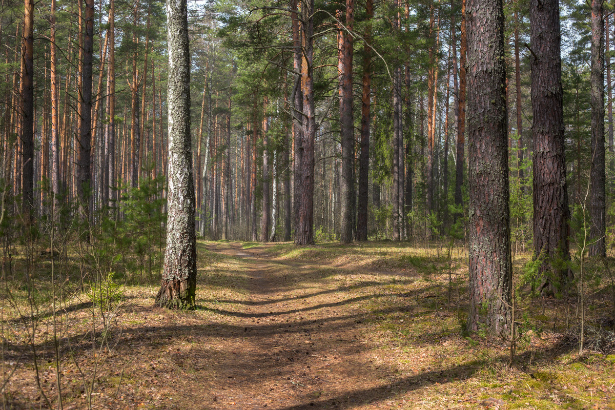 Весной запахло