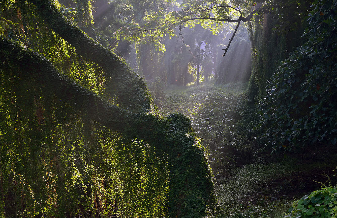 Затерянный мир