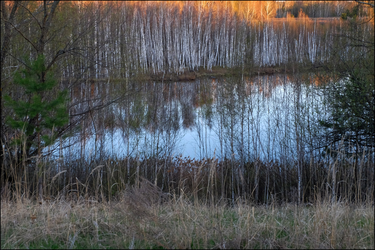 продираться