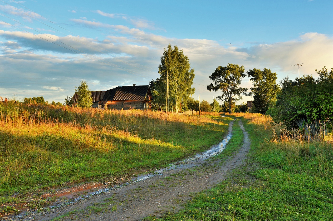 "Просто летний дождь прошел... обычный, летний дождь..."