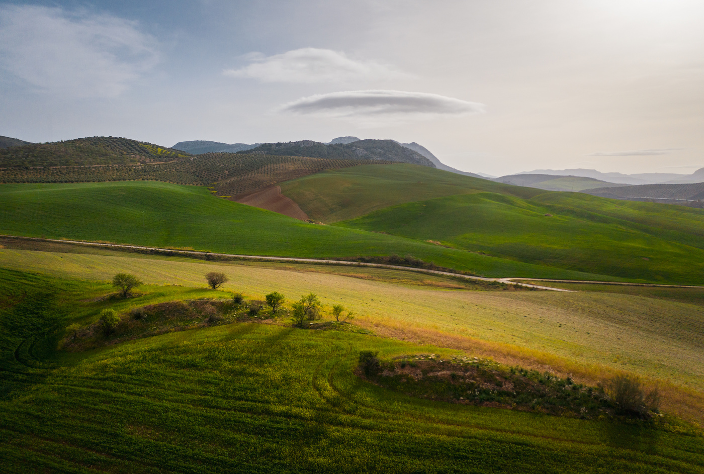 Безмятежность