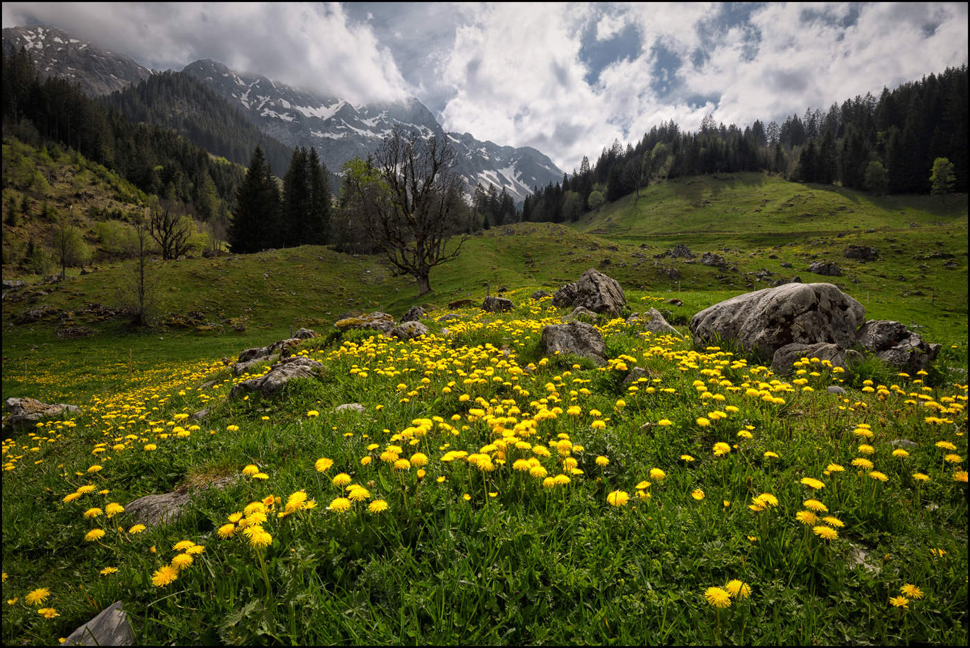 Frühling in den Alpen