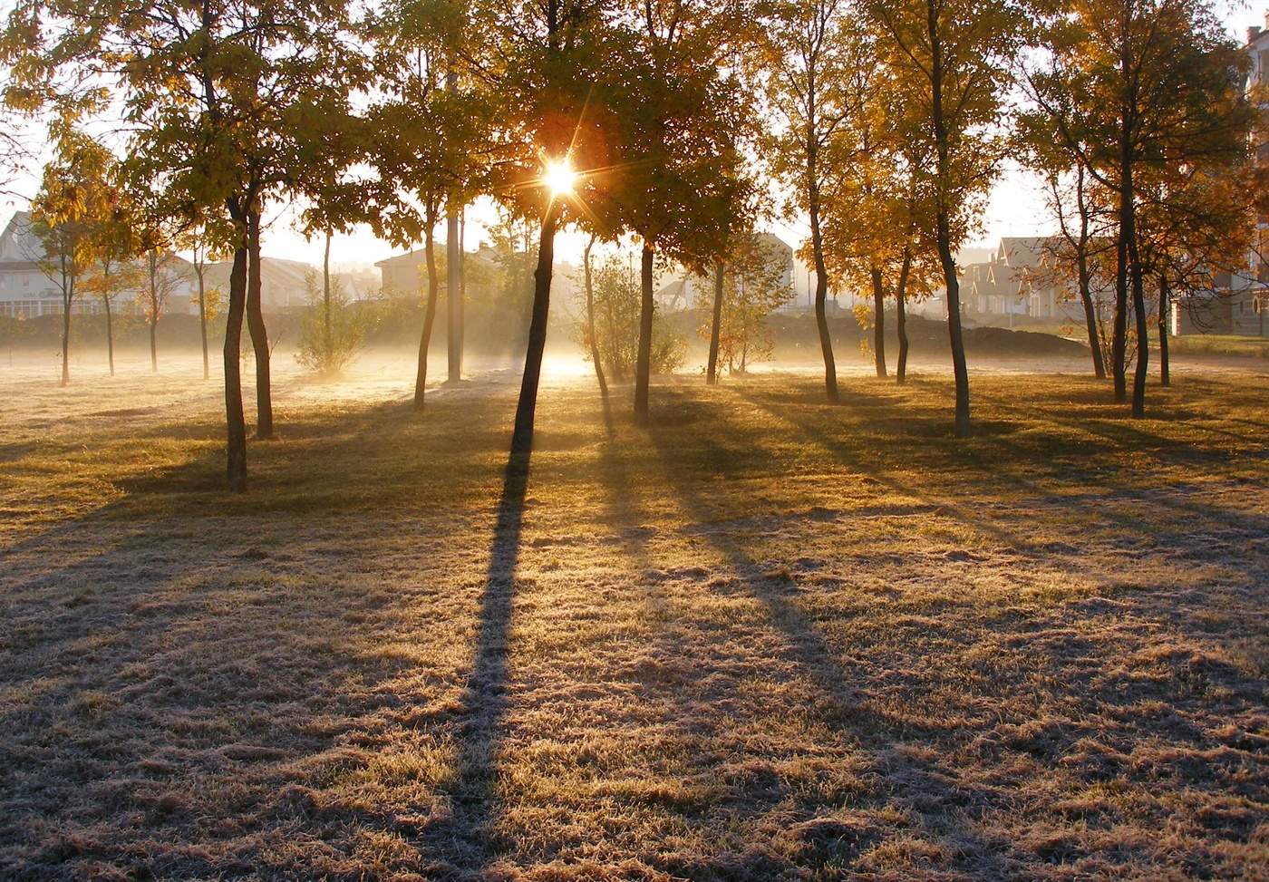 Морозное утро...