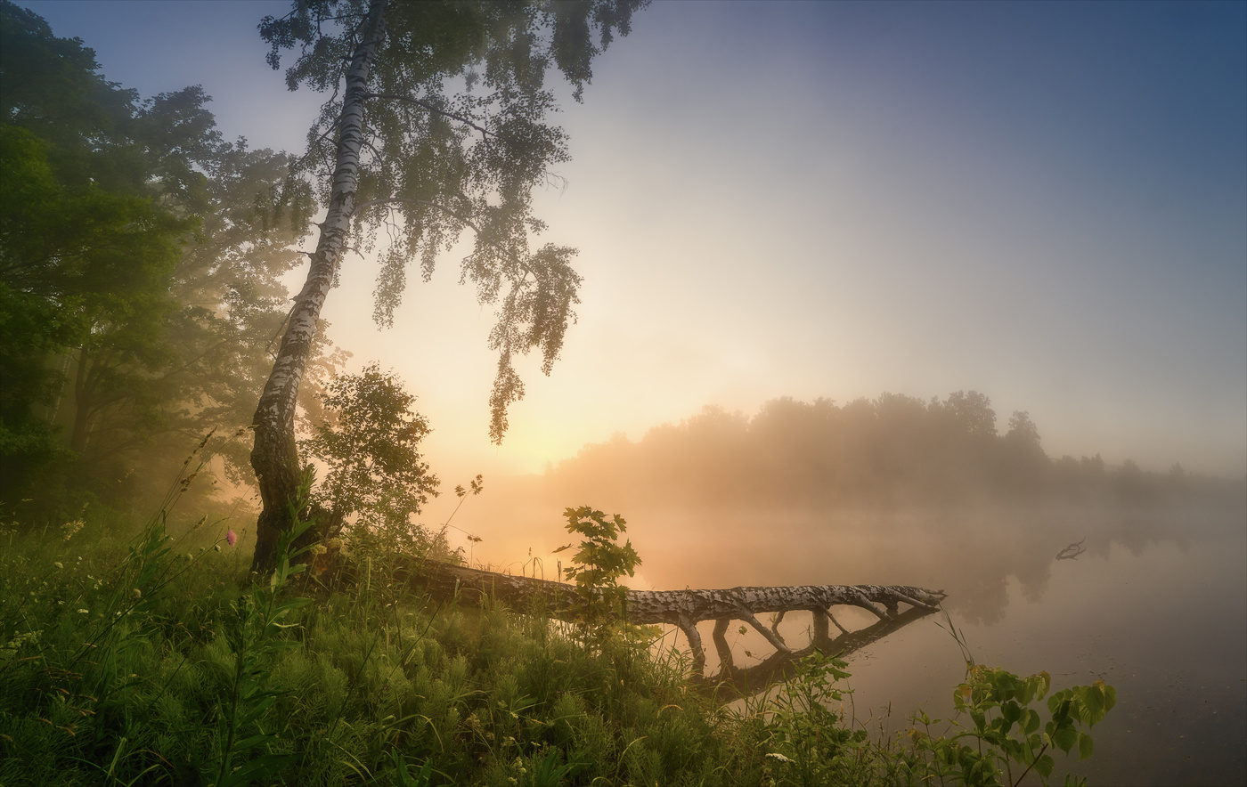 Пробуждение.
