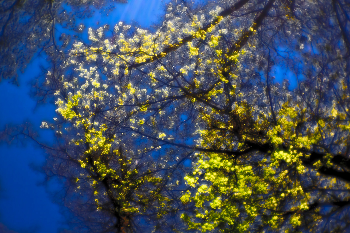 Небо над головой. Весеннее.