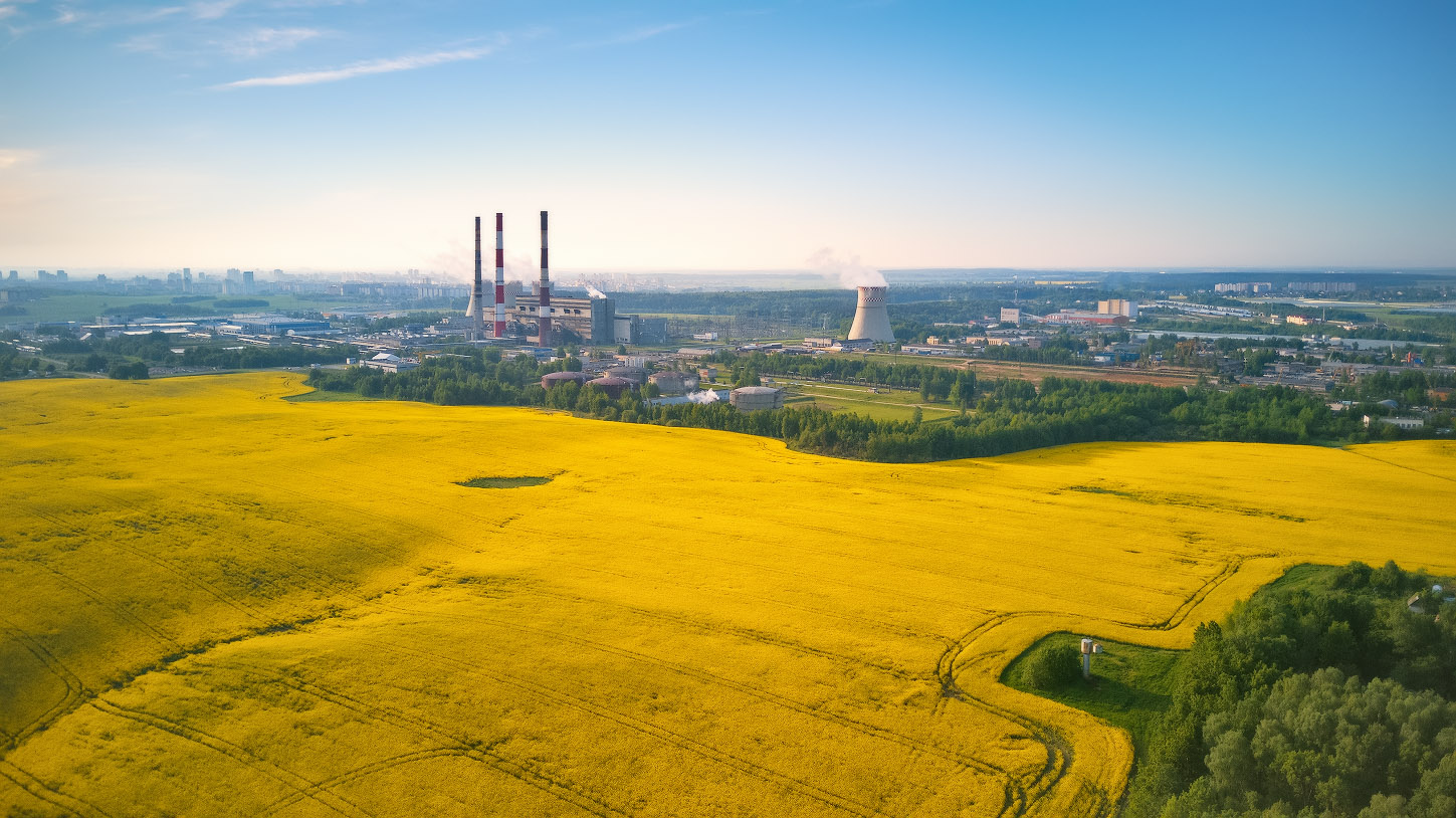 Рапсово-урбанистический пейзаж