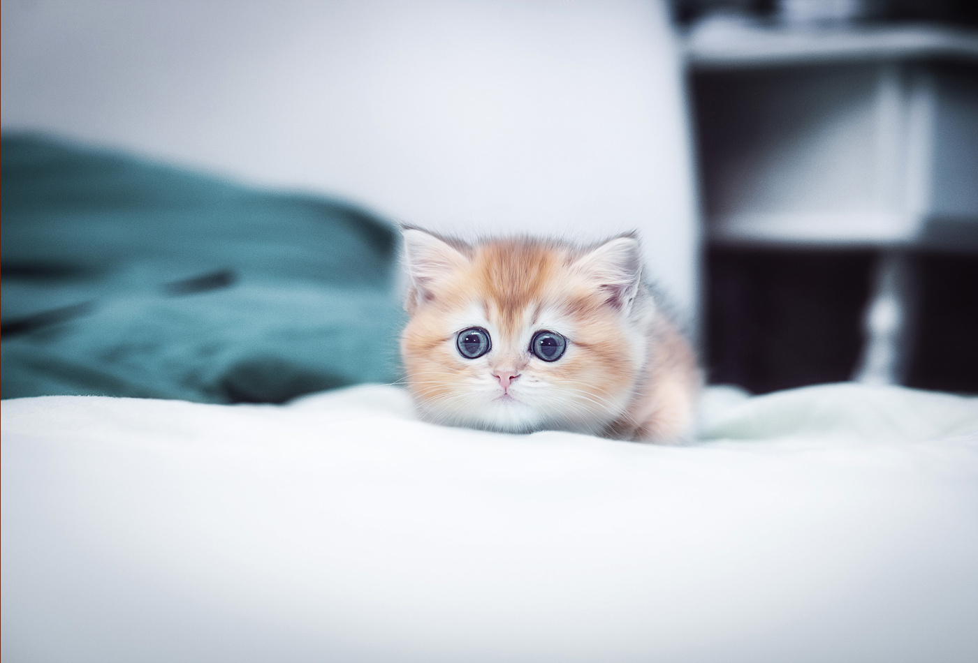 Внимание, готовность номер один..