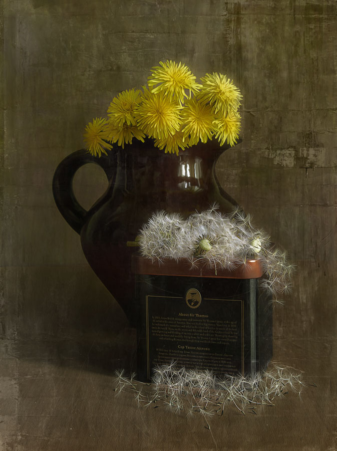 одуванчики