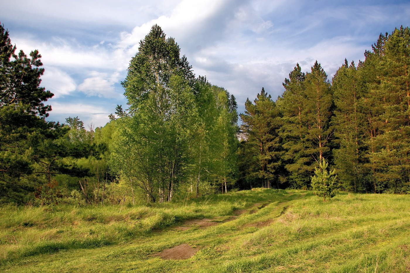 Майский вечер.