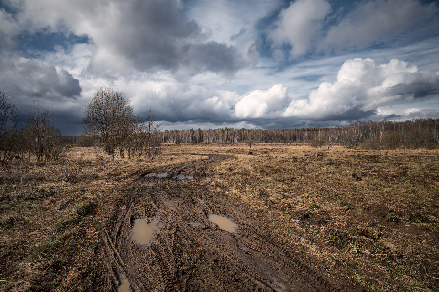 весенние контрасты