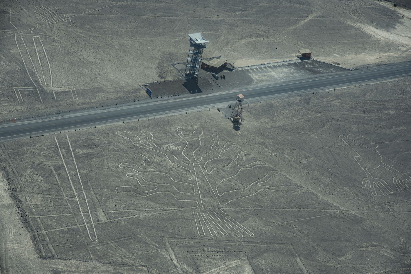 Рисунки Наска