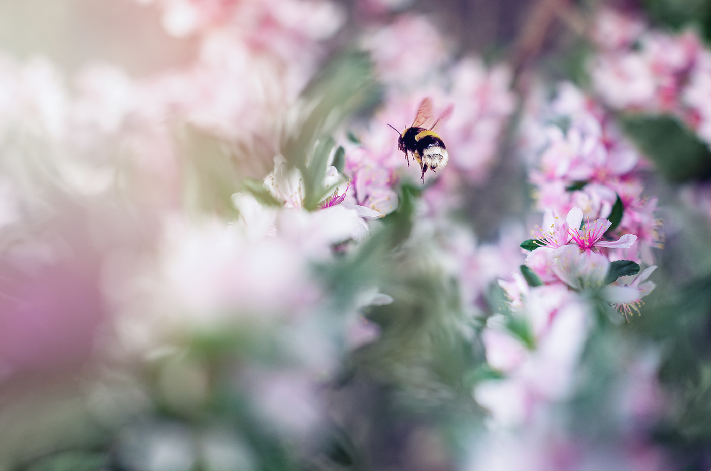 За работой...