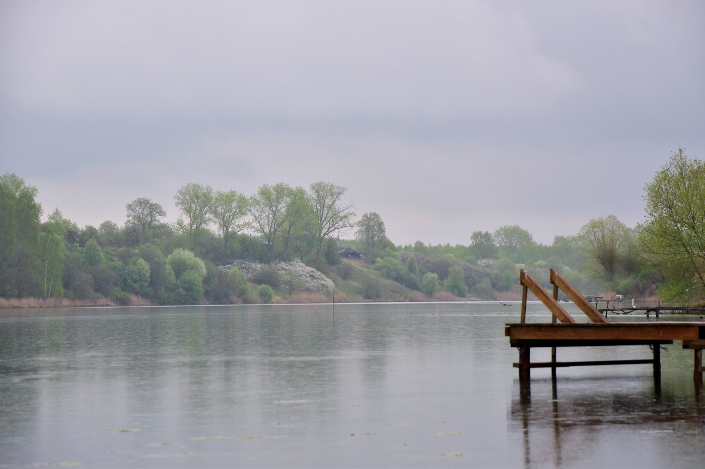 Есть в дожде откровенье...