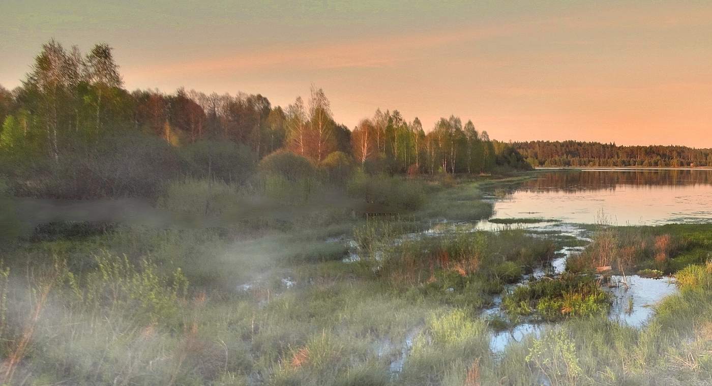 Вечером майским туман собирался