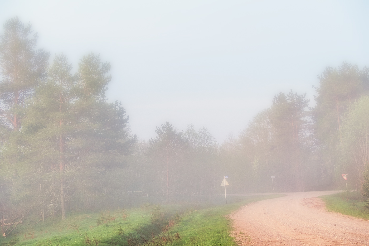 Едем за туманом!