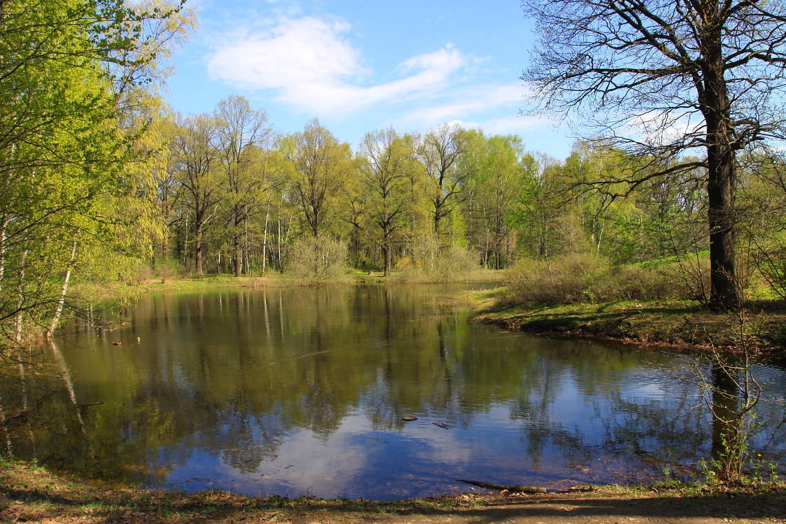 Весна в самоизоляции !!!