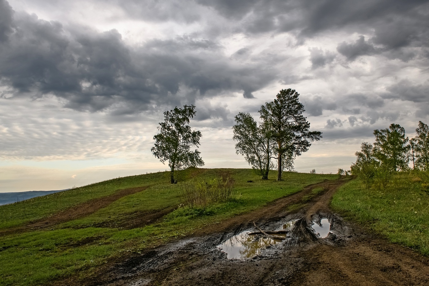 Пасмурное утро.