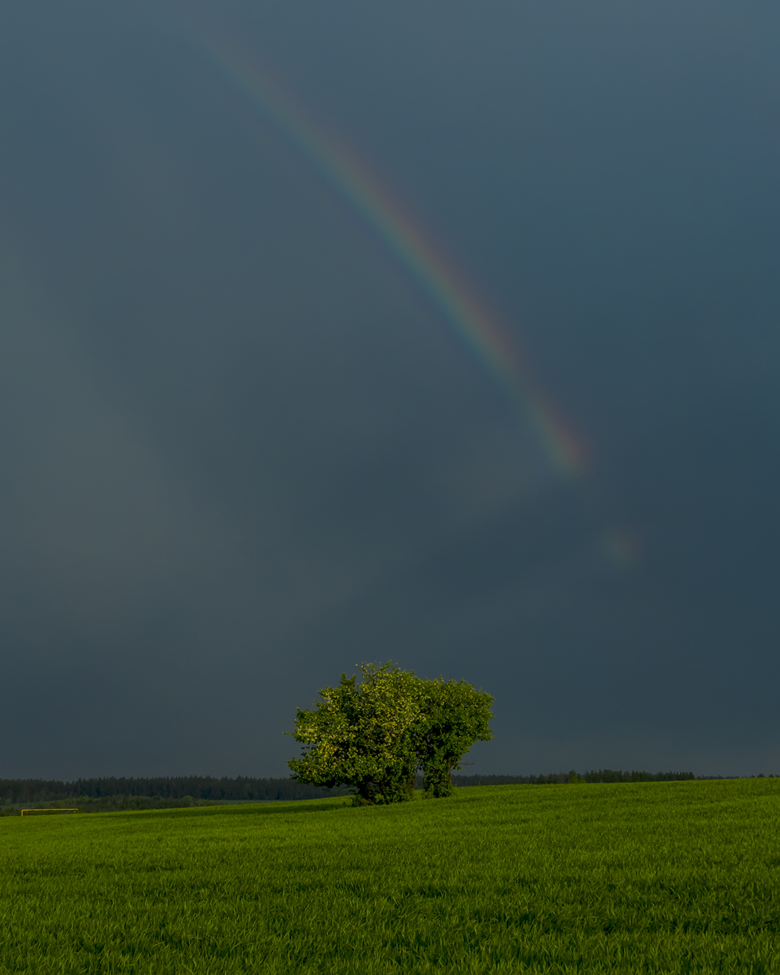 Радужное утро