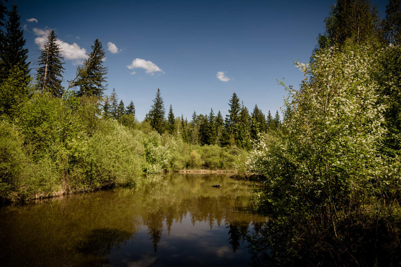 р.Кантат весной