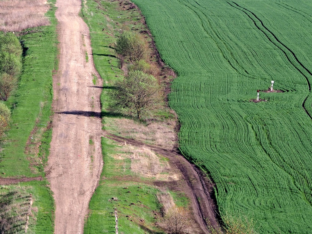 Майские зарисовки
