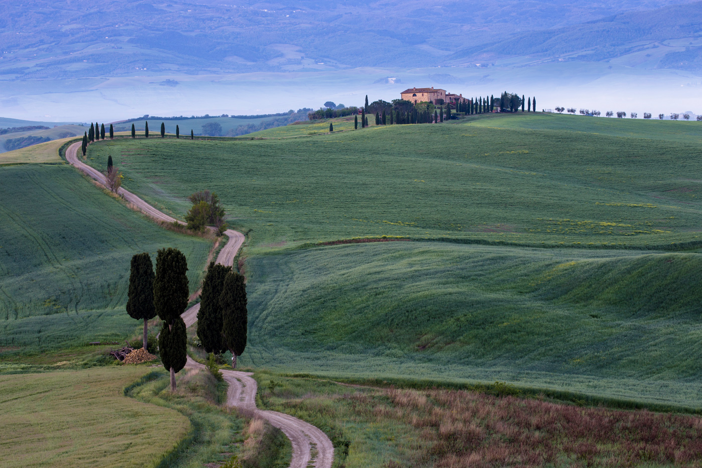 Ранним утром