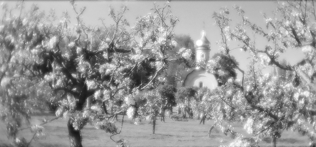 Майские зарисовки