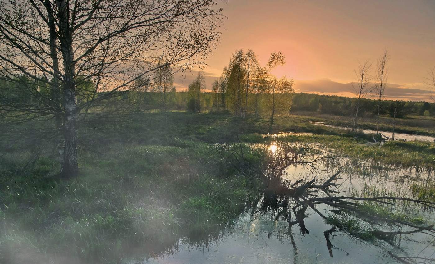 Майское вечернее солнце