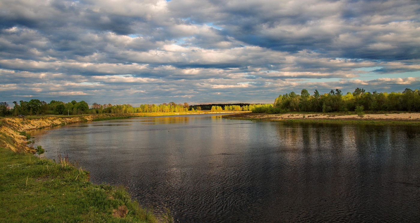 Цеплялось солнце за деревья...