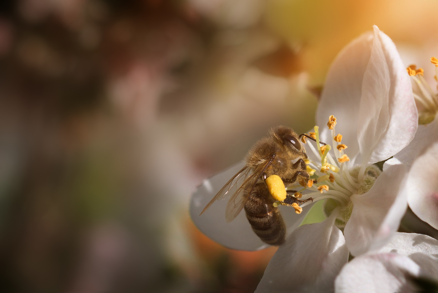 С тормозком..)