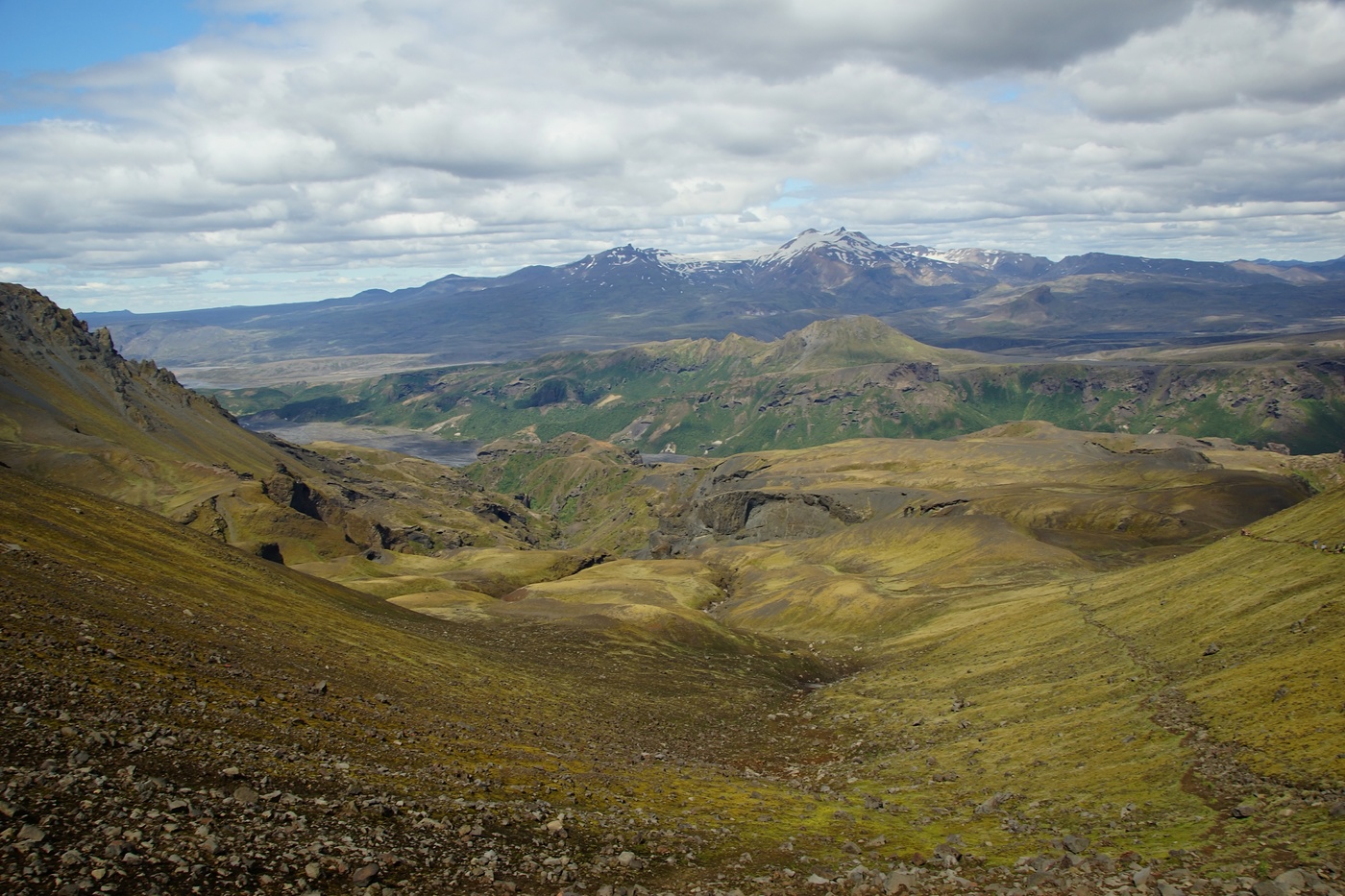 Летнее утро