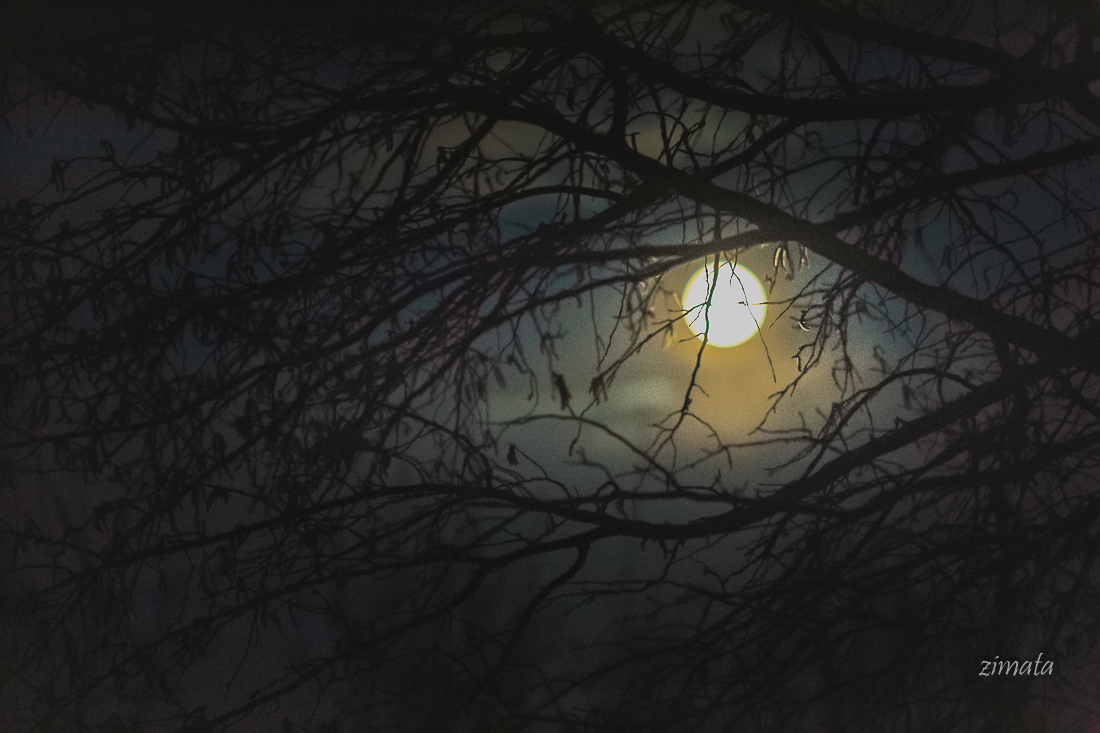 око луны
