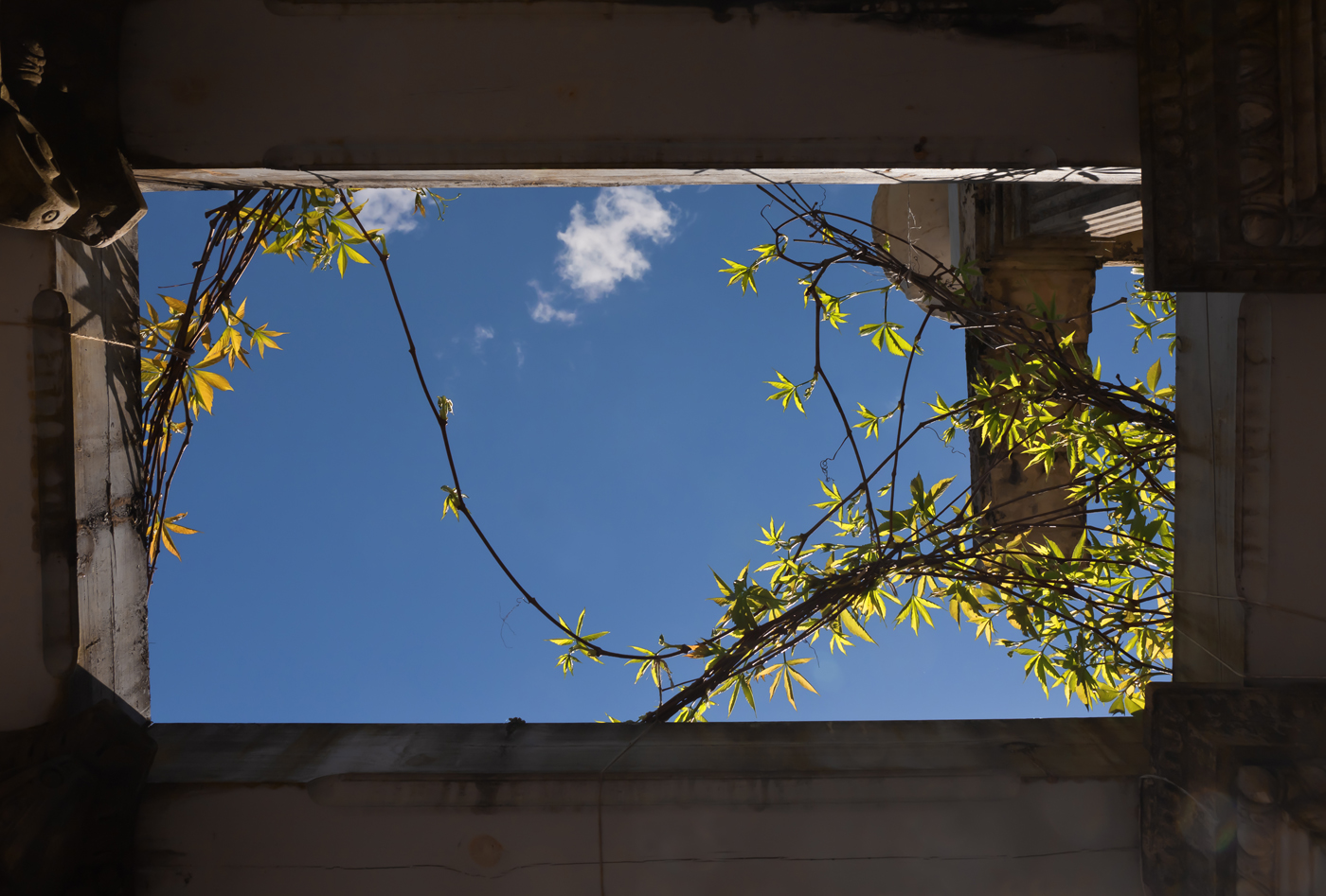 Небо над головой. Летнее.