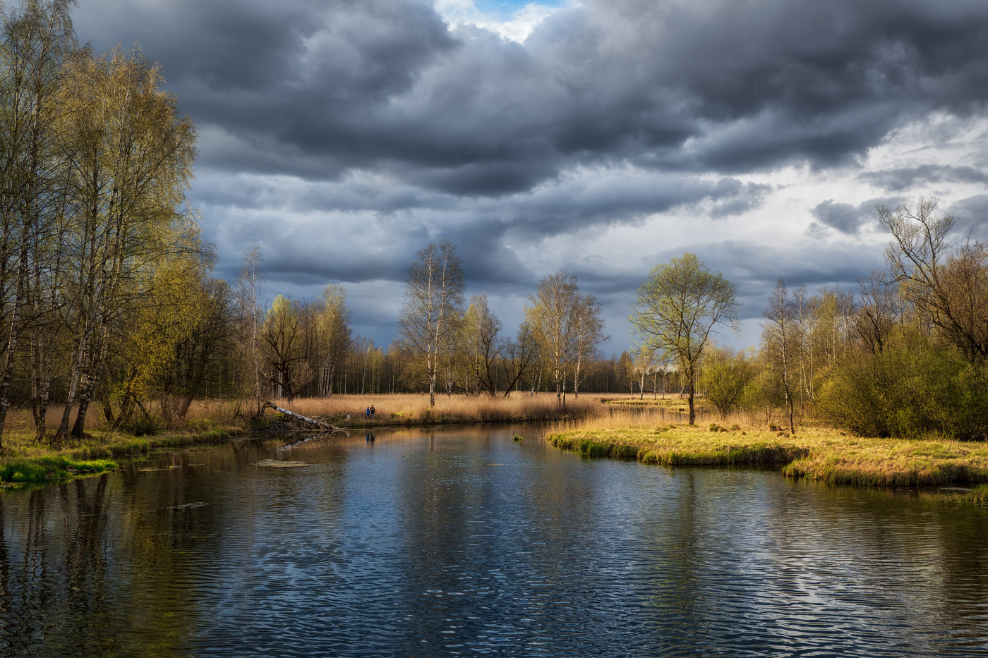 Russian spring landscape with reflections of trees in the lake.