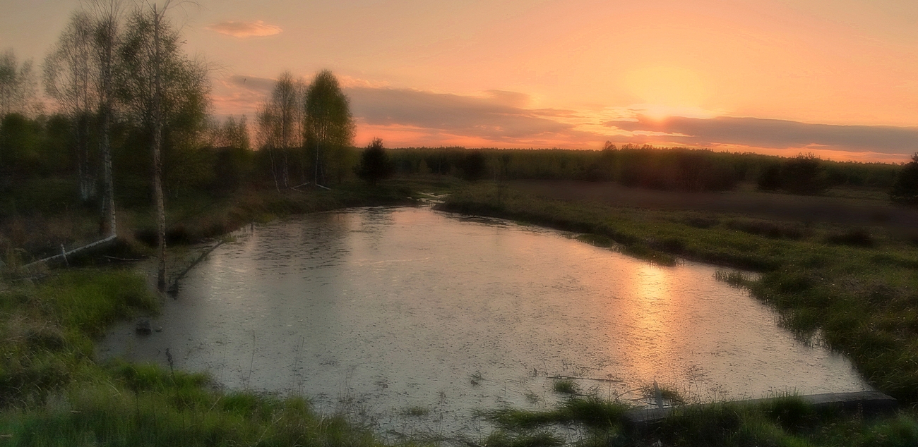 Вечерняя туманная дымка