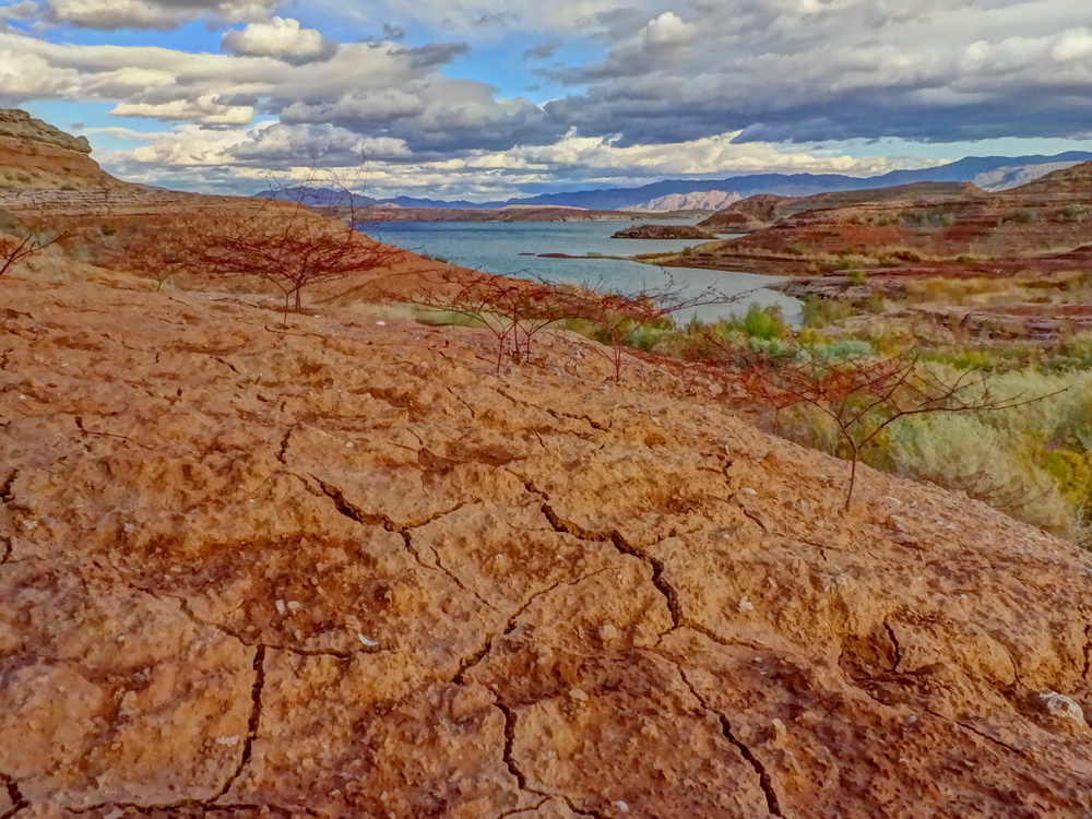 земля Невады
