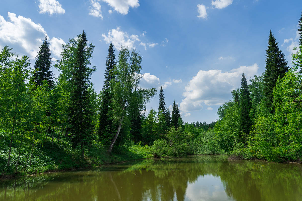 летнее озеро