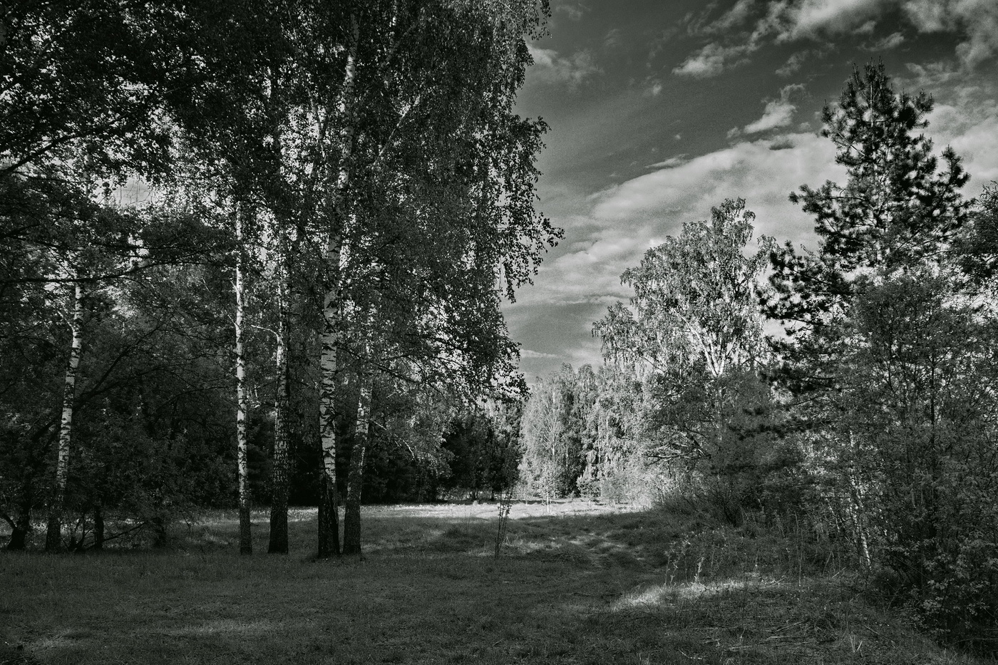 Солнечная полянка.