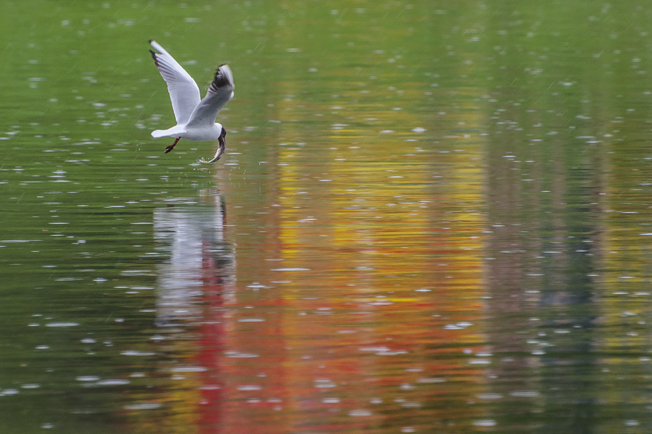 Рыбацкое счастье