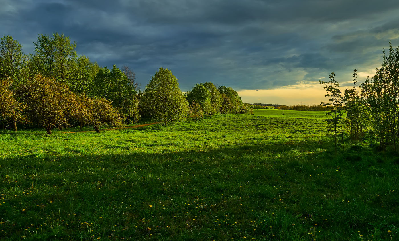 В лучах заходящего солнца