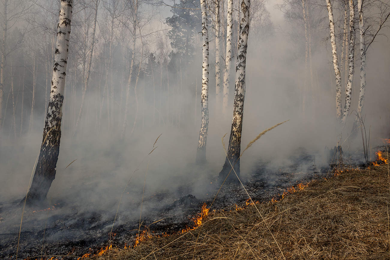 Плач берёзовой рощи (серия)