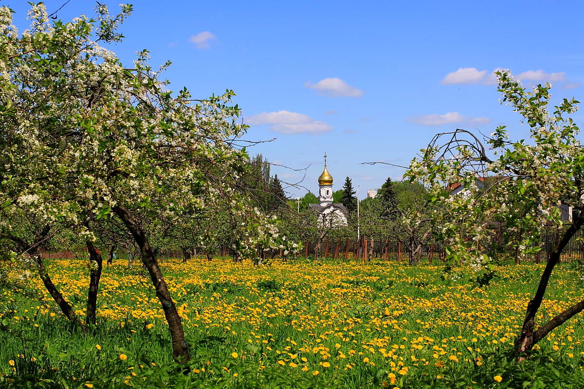 Майские зарисовки