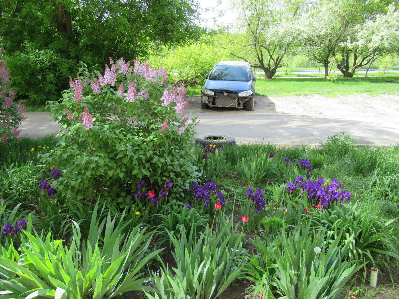 Майские зарисовки