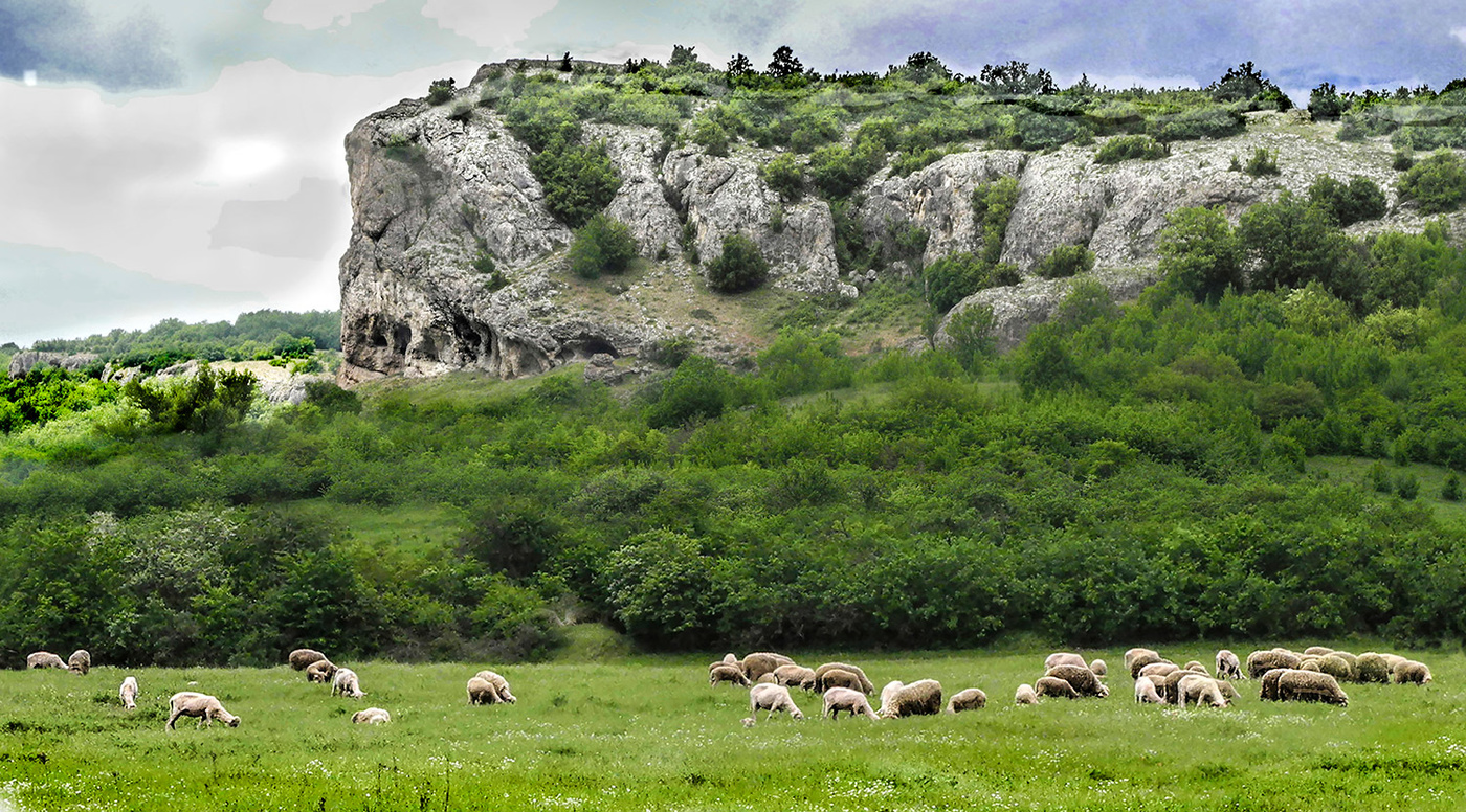 Виды Межгорья