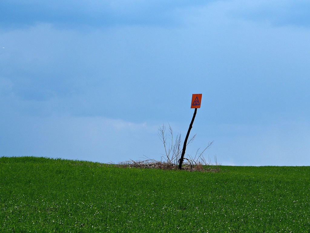 Майские зарисовки