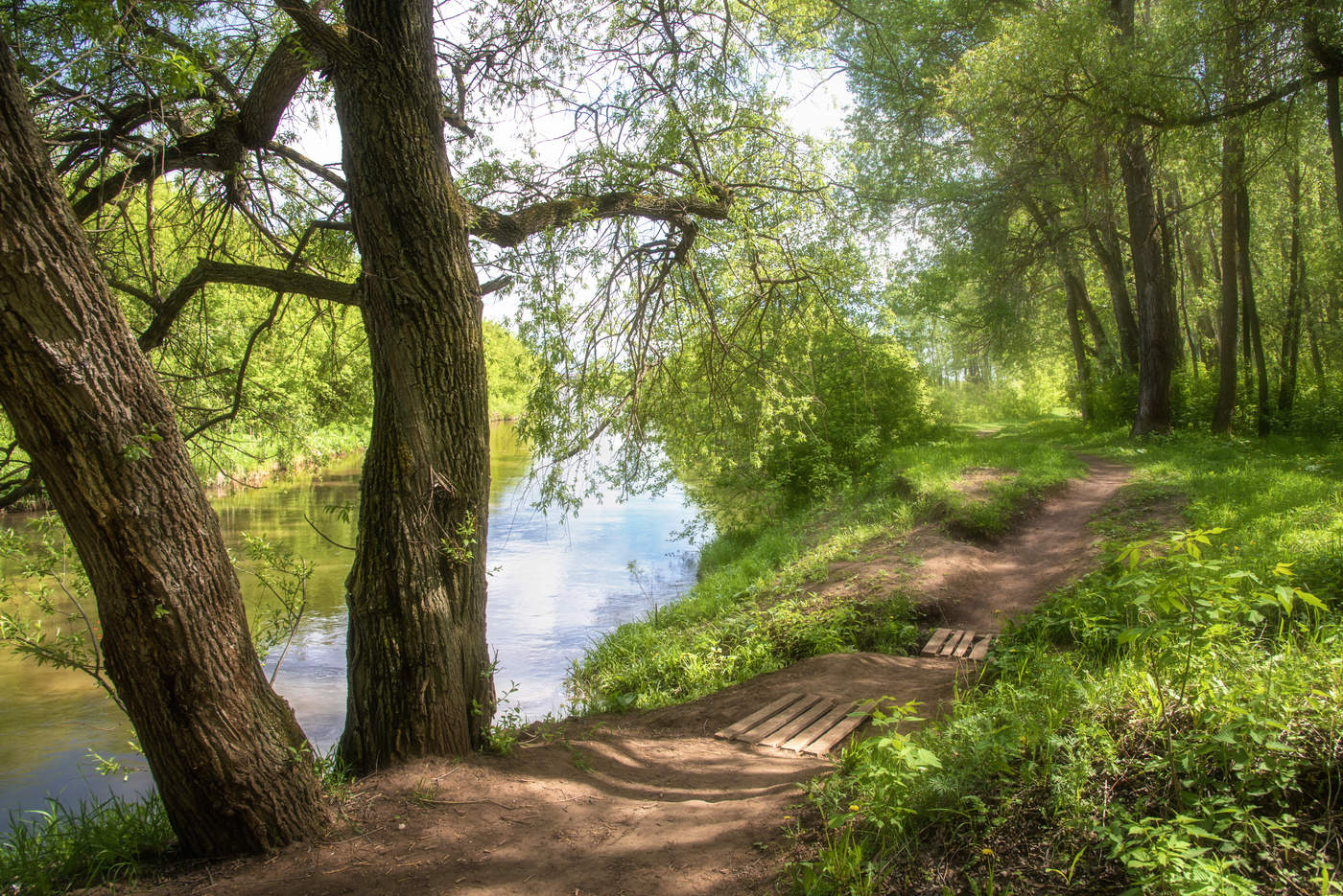 Май на Усени