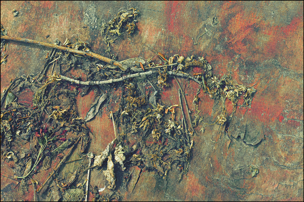 Майские зарисовки