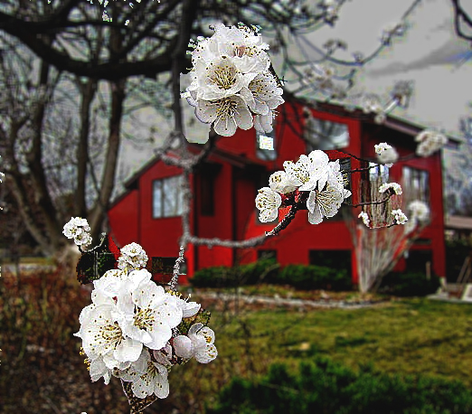 майскиие зарисовки